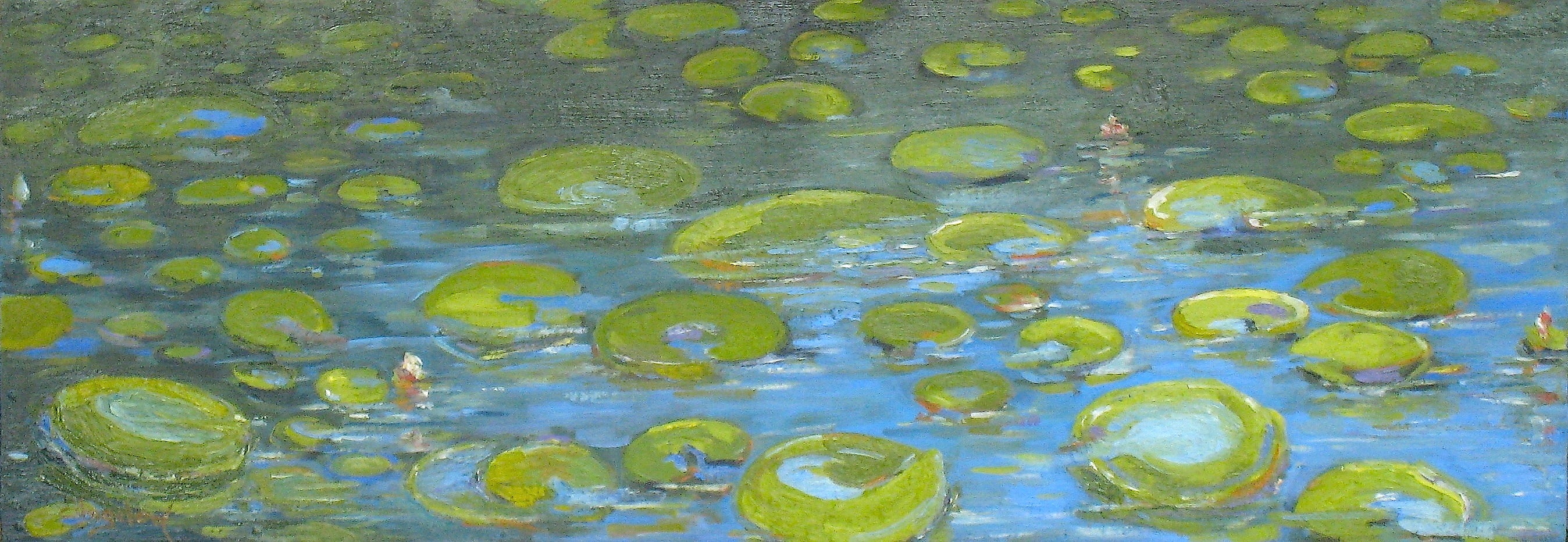 seattle waterlilies #2 12" x 34" oil  on panel